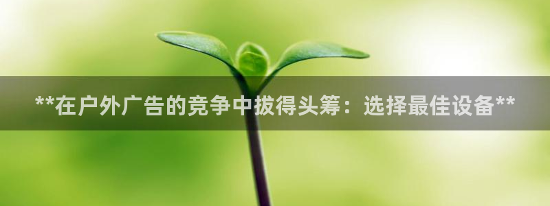 杏宇平台招商电话号码