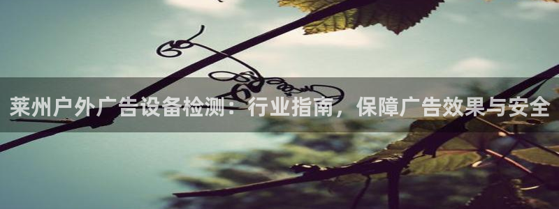 杏宇平台代理怎么赚钱：莱州户外广告设备检测：行业指南，保障广告效果与安全