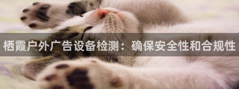 杏宇平台总代理：栖霞户外广告设备检测：确保安全性和合规性