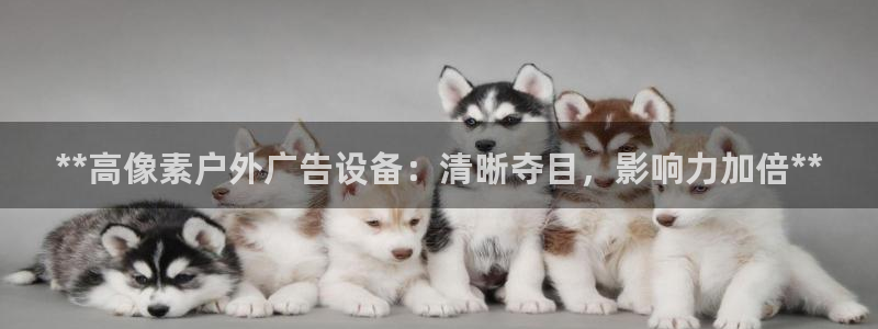 杏宇官方平台官网下载