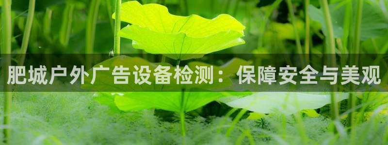 杏宇平台代理多少钱：肥城户外广告设备检测：保障安全与美观