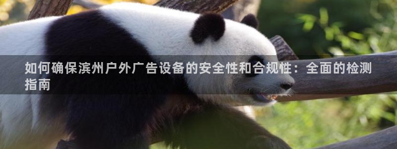 杏宇平台代理