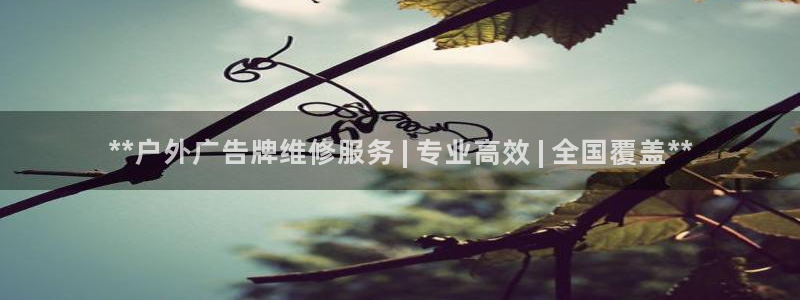 杏宇平台注册地址在哪里：**户外广告牌维修服务 | 专业高效 | 全国覆盖**