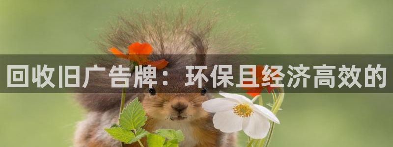 杏宇平台代理怎么赚钱的：回收旧广告牌：环保且经济高效的
