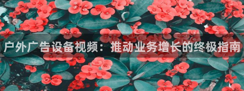 杏宇官方平台官网下载：户外广告设备视频：推动业务增长的终极指南