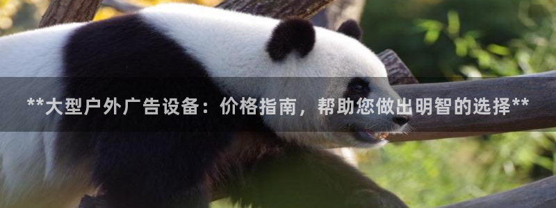 杏宇平台登录步骤图：**大型户外广告设备：价格指南，帮助您做出明智的选择**