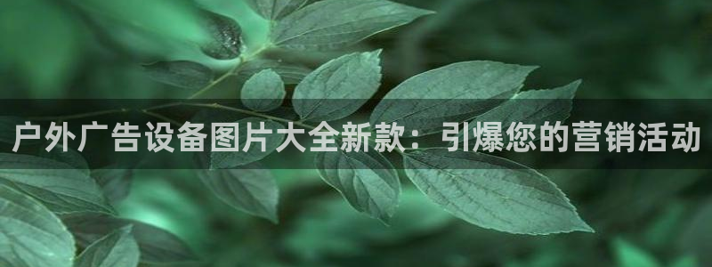杏宇官方平台官网下载：户外广告设备图片大全新款：引爆您的营销活动