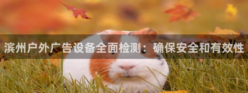 杏宇平台代理多少钱