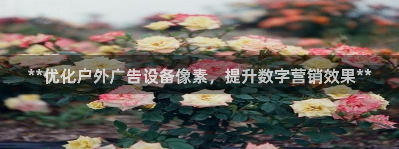 杏宇平台代理怎么样可靠吗：**优化户外广告设备像素，提升数字营销效果**