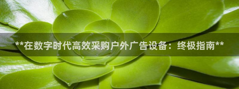 杏宇平台提现为什么这么久呢：**在数字时代高效采购户外广告设备：终极指南**