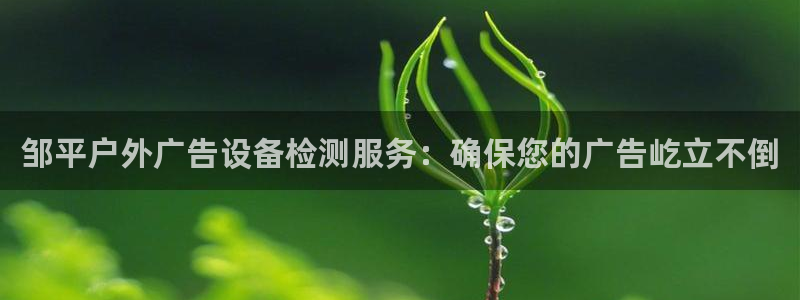 杏宇平台登录步骤是什么：邹平户外广告设备检测服务：确保您的广告屹立不倒