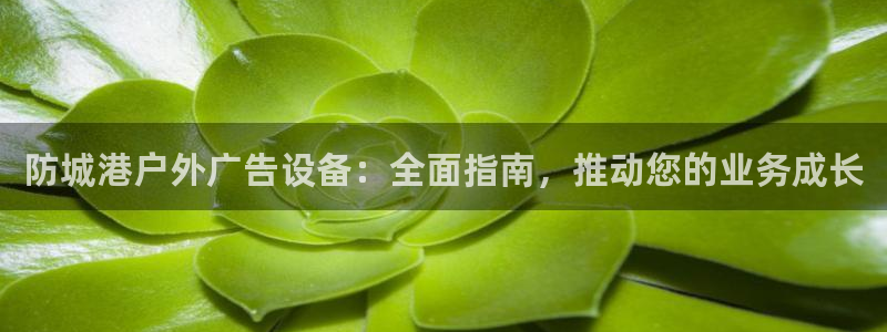 杏宇平台登录步骤：防城港户外广告设备：全面指南，推动您的业务成长