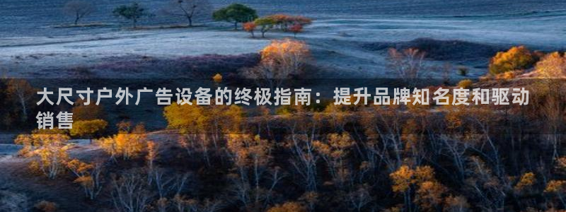 杏宇平台代理怎么赚钱的：大尺寸户外广告设备的终极指南：提升品牌知名度和驱动
销售