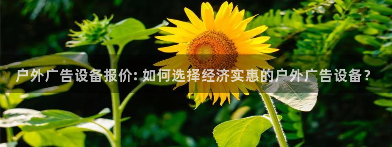 杏宇代理注册：户外广告设备报价: 如何选择经济实惠的户外广告设备？
