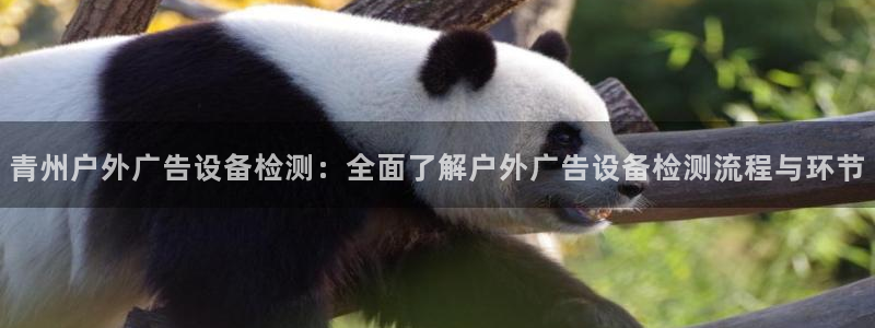 杏宇平台招商：青州户外广告设备检测：全面了解户外广告设备检测流程与环节