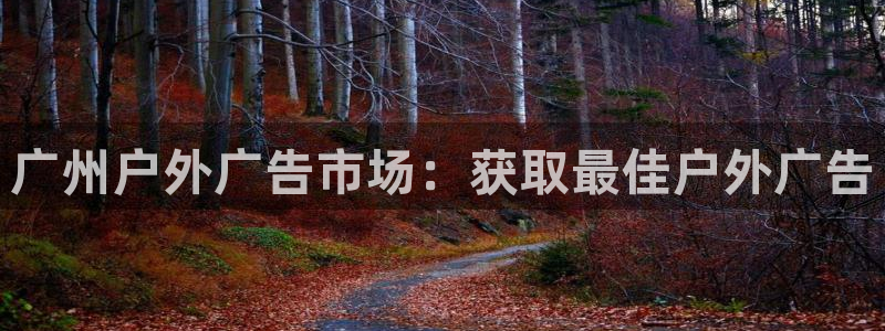 杏宇平台怎么样：广州户外广告市场：获取最佳户外广告