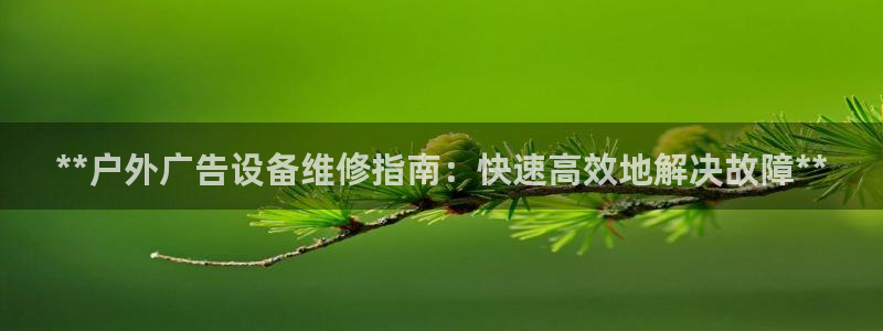 杏宇平台提现为什么这么久呢：**户外广告设备维修指南：快速高效地解决故障**
