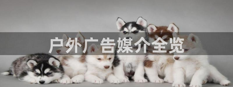 杏宇平台招商怎么样：户外广告媒介全览