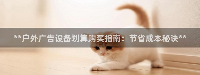 杏宇平台代理怎么赚钱快：**户外广告设备划算购买指南：节省成本秘诀**