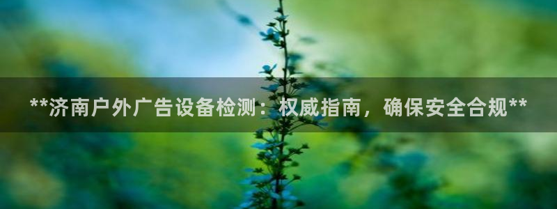 杏宇平台招商怎么样：**济南户外广告设备检测：权威指南，确保安全合规**
