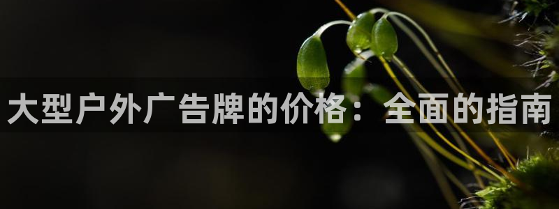杏宇平台登录步骤是什么：大型户外广告牌的价格：全面的指南