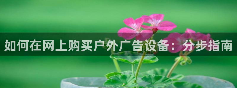 杏宇平台注册地址在哪里：如何在网上购买户外广告设备：分步指南