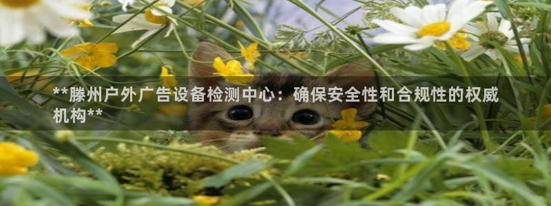 杏宇平台官网注册：**滕州户外广告设备检测中心：确保安全性和合规性的权威
机构**