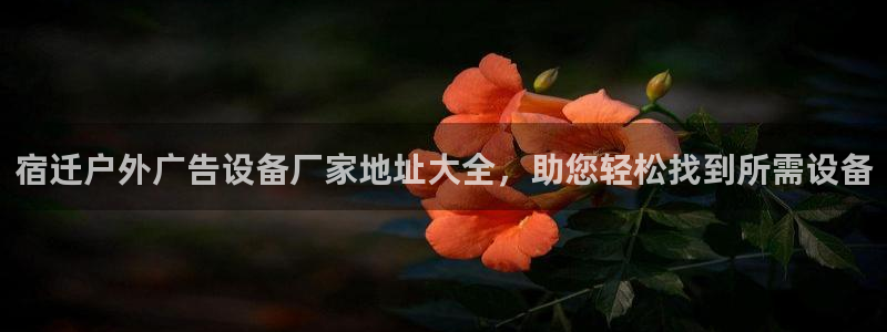 杏宇官方平台官网下载：宿迁户外广告设备厂家地址大全，助您轻松找到所需设备