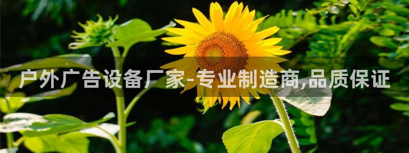 杏宇平台官网注册：户外广告设备厂家-专业制造商,品质保证