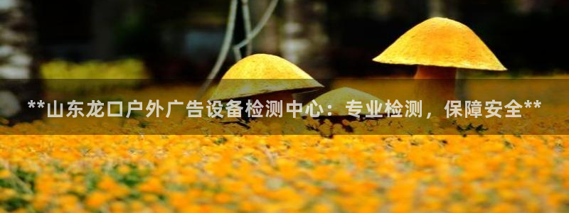 杏宇平台注册地址：**山东龙口户外广告设备检测中心：专业检测，保障安全**