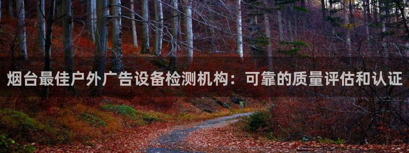 杏宇平台总代理：烟台最佳户外广告设备检测机构：可靠的质量评估和认证