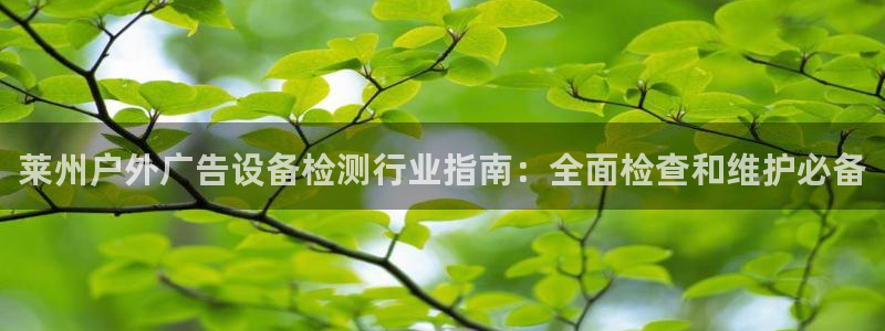 杏宇平台官网注册：莱州户外广告设备检测行业指南：全面检查和维护必备