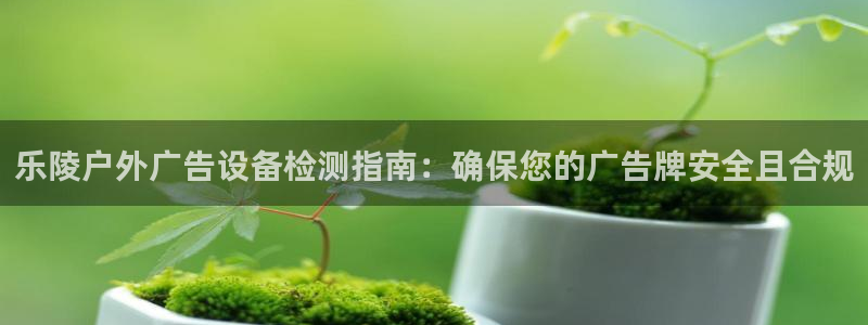 杏宇平台代理怎么样：乐陵户外广告设备检测指南：确保您的广告牌安全且合规