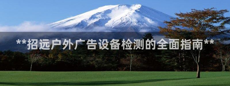 杏宇平台代理多少钱一个：**招远户外广告设备检测的全面指南**