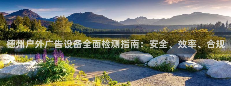 杏宇平台代理多少钱一个月：德州户外广告设备全面检测指南：安全、效率、合规