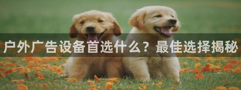 杏宇平台登录步骤：户外广告设备首选什么？最佳选择揭秘