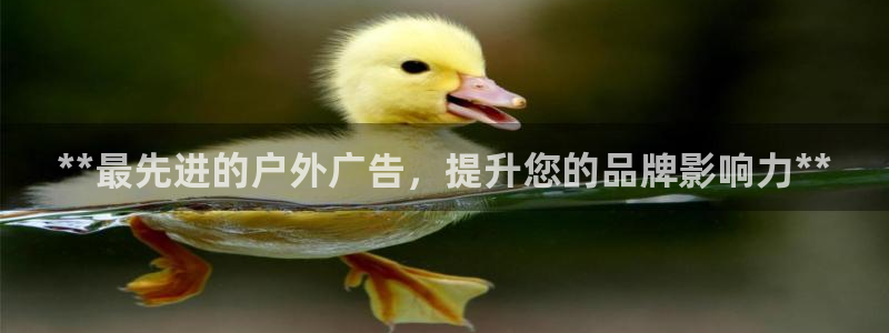 杏宇平台代理怎么赚钱的：**最先进的户外广告，提升您的品牌影响力**
