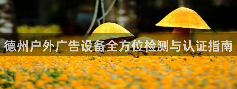 杏宇平台招商：德州户外广告设备全方位检测与认证指南
