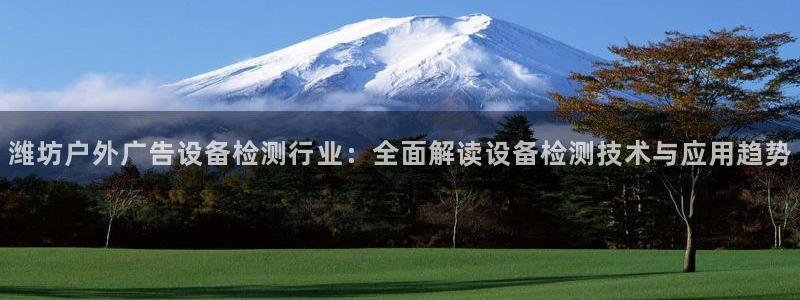 杏宇平台注册地址在哪里：潍坊户外广告设备检测行业：全面解读设备检测技术与应用趋势