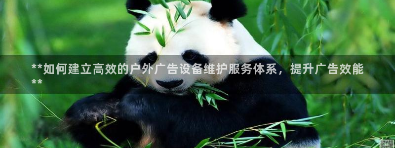 杏宇平台登录步骤图：**如何建立高效的户外广告设备维护服务体系，提升广告效能
**