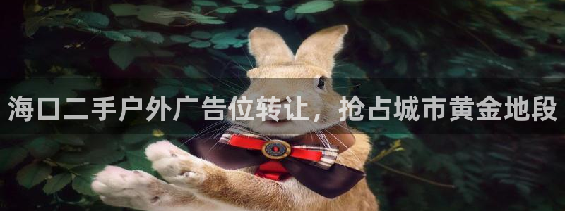 杏宇平台代理怎么样啊：海口二手户外广告位转让，抢占城市黄金地段
