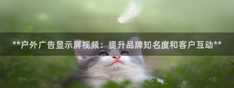 杏宇平台登录步骤是什么：**户外广告显示屏视频：提升品牌知名度和客户互动**