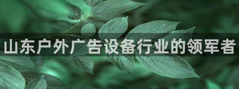杏宇平台怎么样：山东户外广告设备行业的领军者