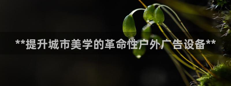 杏宇平台代理怎么赚钱快：**提升城市美学的革命性户外广告设备**