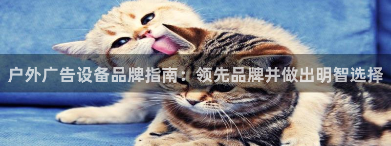 杏宇平台代理怎么样赚钱：户外广告设备品牌指南：领先品牌并做出明智选择
