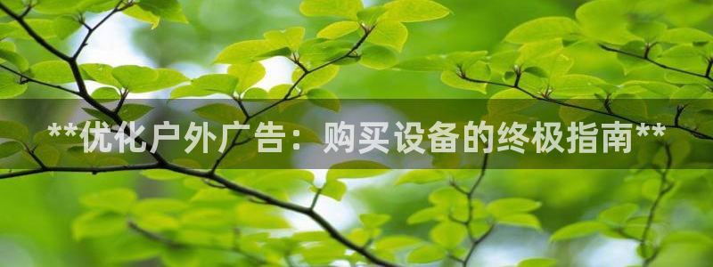 杏宇平台是什么：**优化户外广告：购买设备的终极指南**