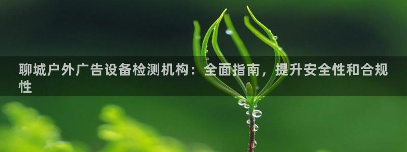 杏宇平台登录步骤图：聊城户外广告设备检测机构：全面指南，提升安全性和合规
性