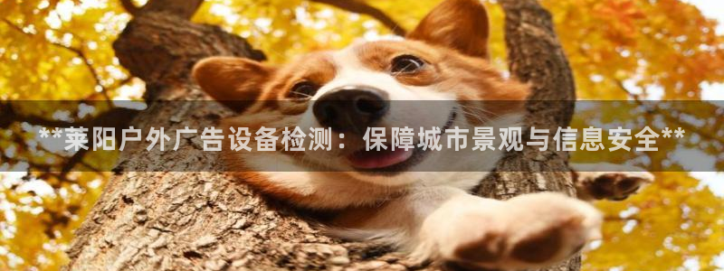 杏宇平台代理多少钱：**莱阳户外广告设备检测：保障城市景观与信息安全**