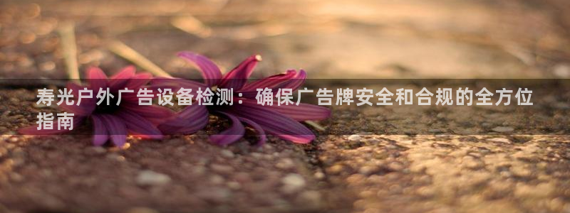 杏宇平台怎么样赚钱：寿光户外广告设备检测：确保广告牌安全和合规的全方位
指南