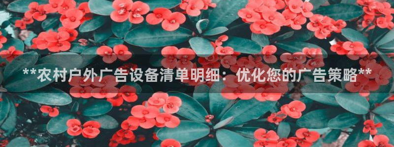 杏宇平台登录步骤：**农村户外广告设备清单明细：优化您的广告策略**